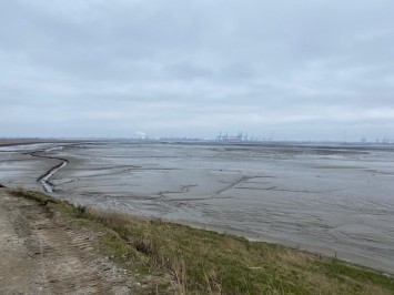 250221 Werkbezoek Hedwigepolder_3