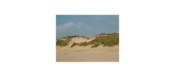 duinen