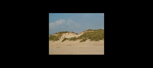 duinen