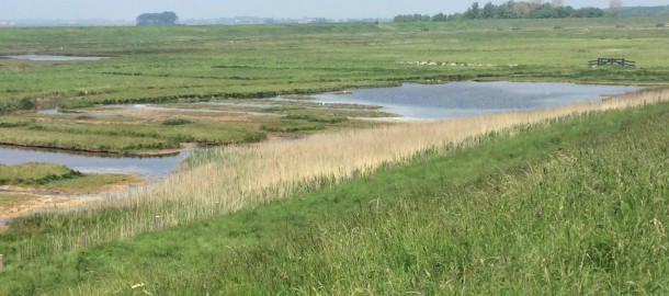 Zeeuws landschap