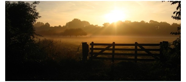 natuur